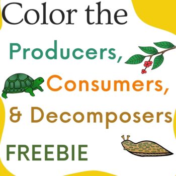 Color the Producers, Consumers, and Decomposers FREEBIE